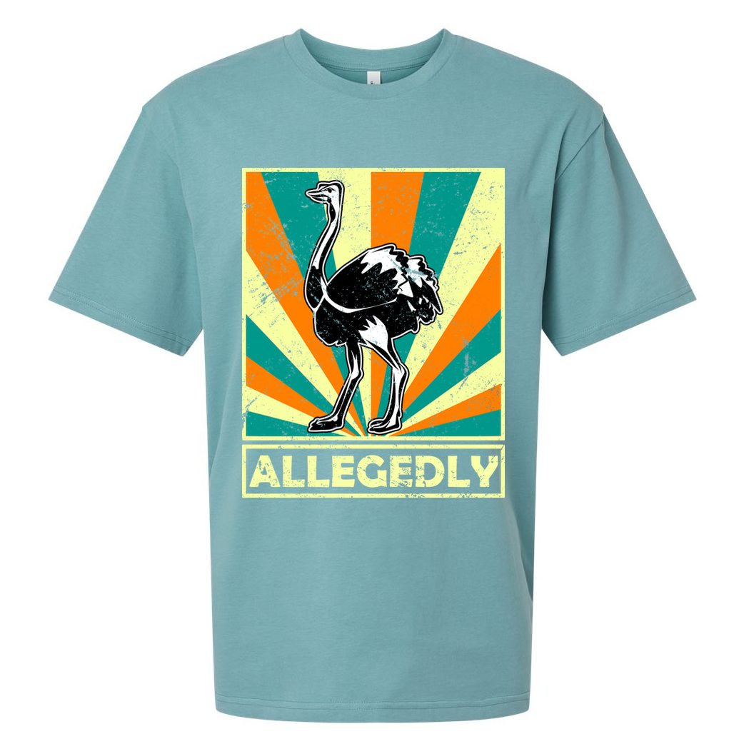 Vintage Allegedly Ostrich Sueded Cloud Jersey T-Shirt