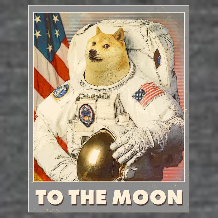 Vintage Astronaut Doge To The Moon Meme T-Shirt