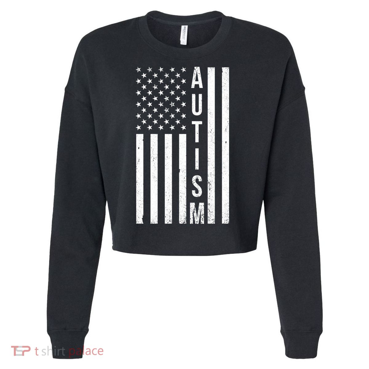 Vintage Autism Flag Cropped Pullover Crew