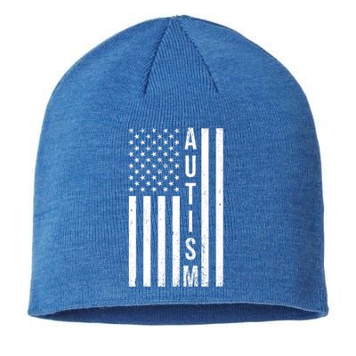 Vintage Autism Flag Sustainable Beanie