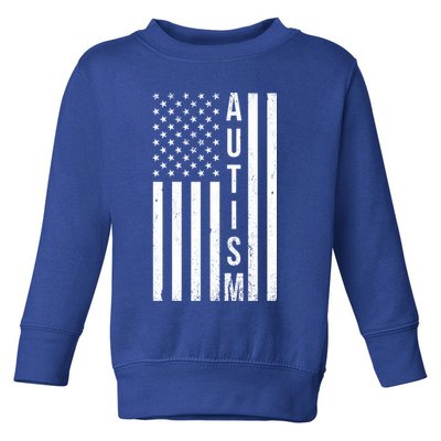 Vintage Autism Flag Toddler Sweatshirt