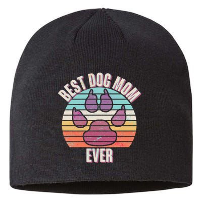 Vintage Best Dog Mom Ever Sustainable Beanie