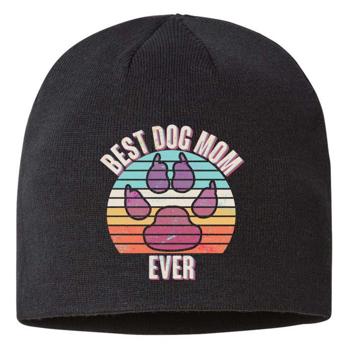 Vintage Best Dog Mom Ever Sustainable Beanie