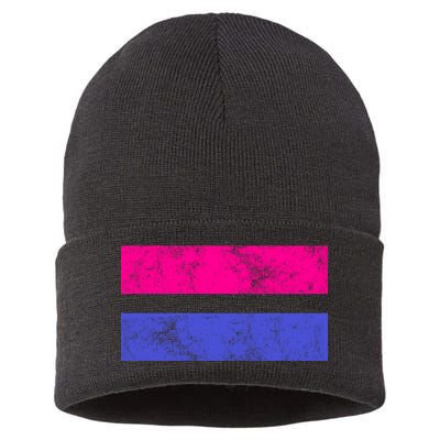 Vintage Bisexual Flag Bi Pride Flag Sustainable Knit Beanie