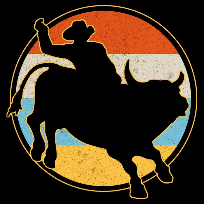 Vintage Bull Riding Rodeo Hoodie