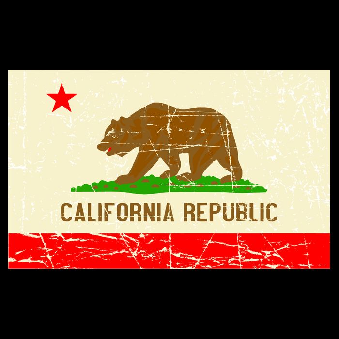 Vintage California Republic Flag Womens Tank Top