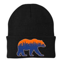 Vintage Chicago Illinois Skyline Bears Football Beanie