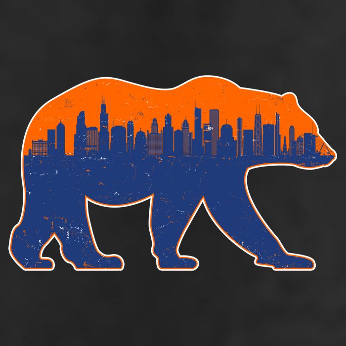 Vintage Chicago Illinois Skyline Bears Football Beanie