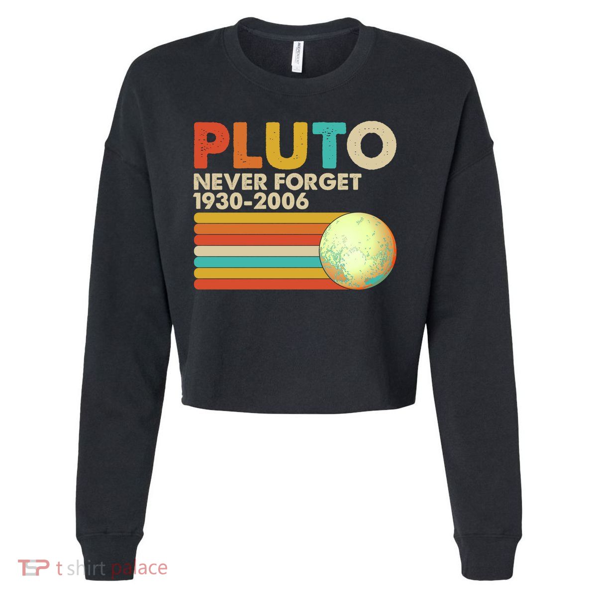 Vintage Colors Pluto Never Forget 1930-2006 Cropped Pullover Crew