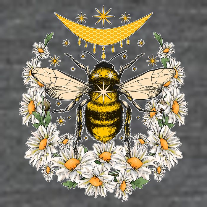 Vintage Daisy Honey Moon Bee T-Shirt