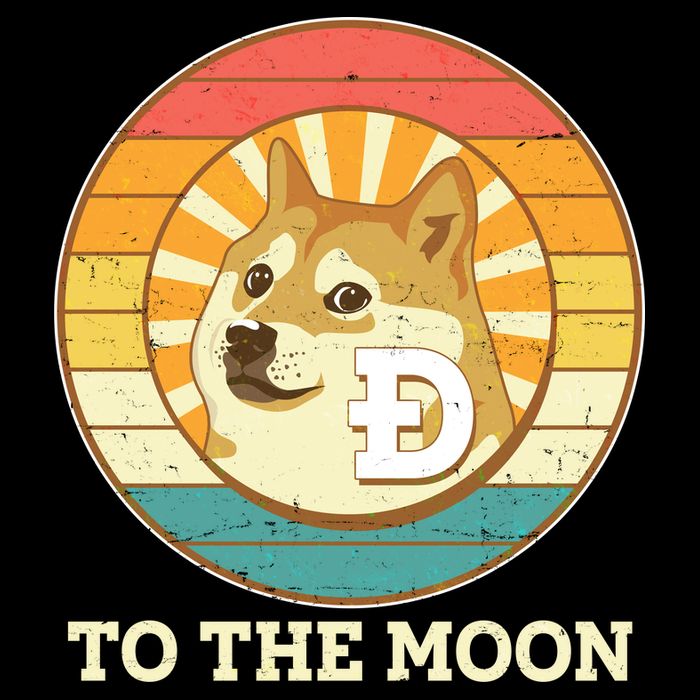 Vintage Dogecoin To The Moon Meme Emblem Visor