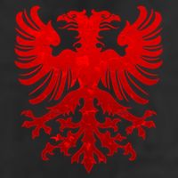 Vintage Eagle Albanian Flag Hat