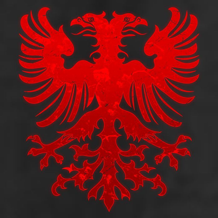 Vintage Eagle Albanian Flag Hat