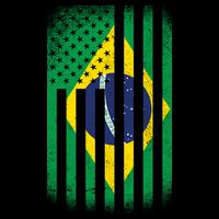 Vintage Flag Of Brazil Visor