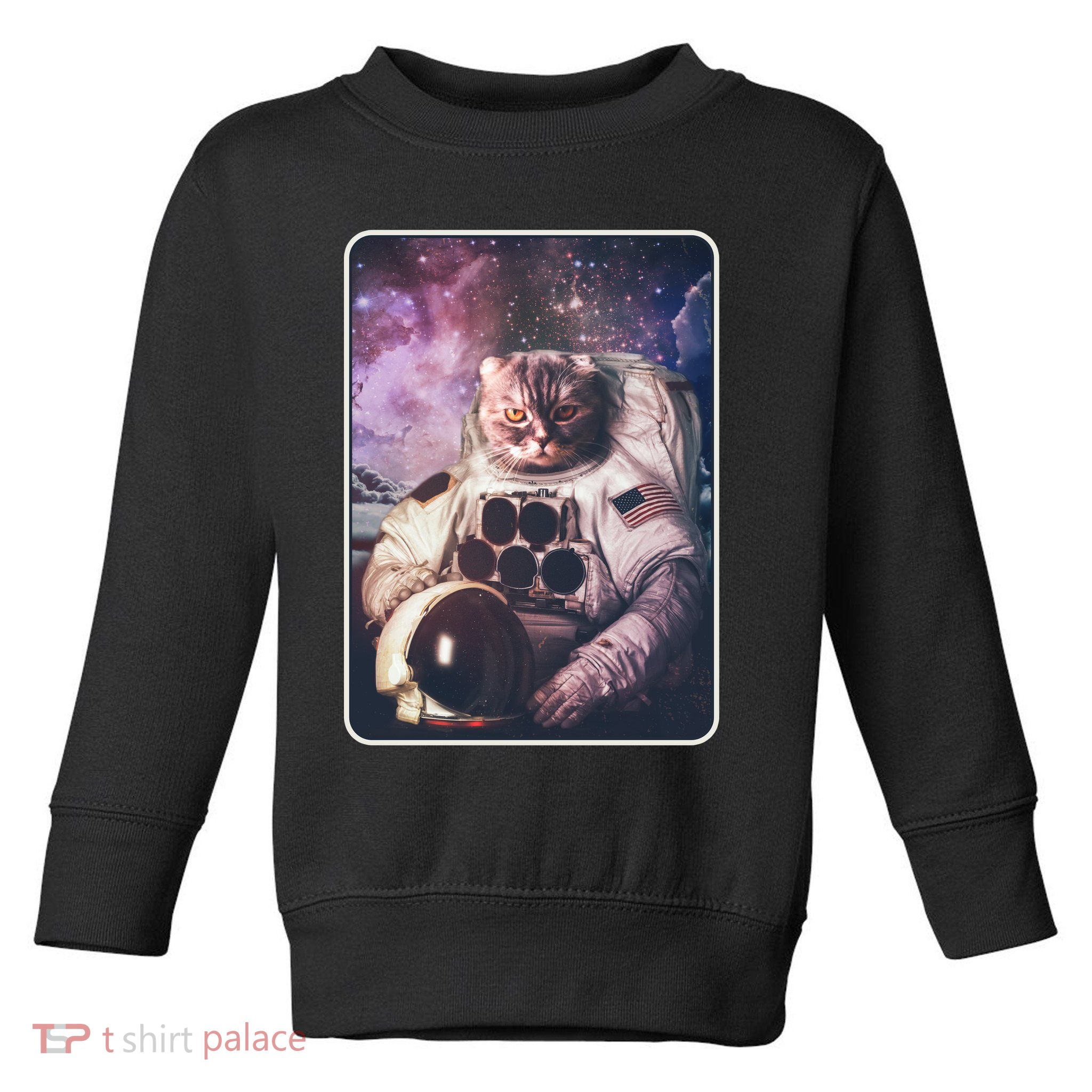 Vintage Galaxy Space Astronaut Cat Toddler Sweatshirt