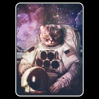 Vintage Galaxy Space Astronaut Cat Kids Hoodie