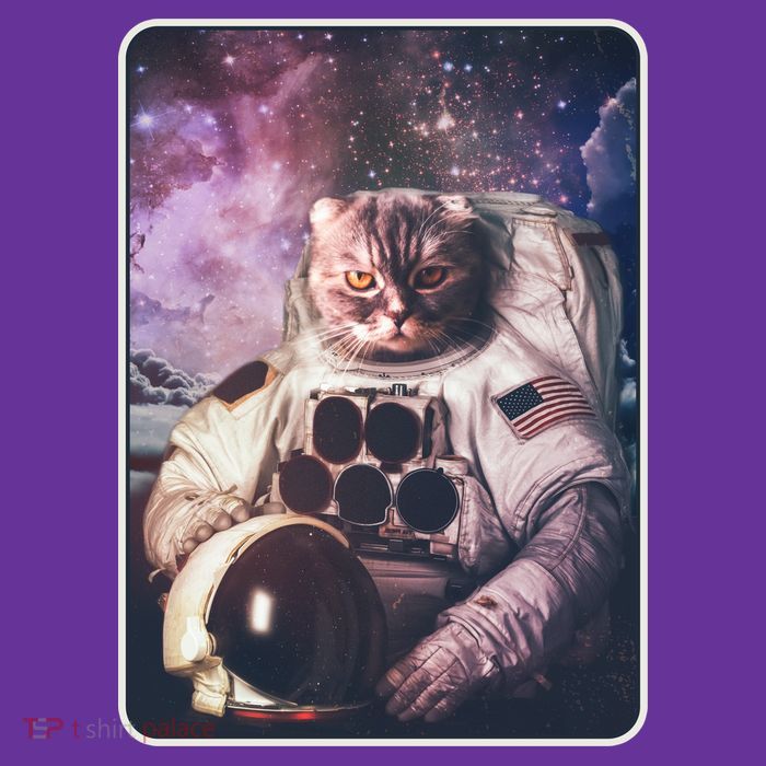 Vintage Galaxy Space Astronaut Cat Trucker Hat