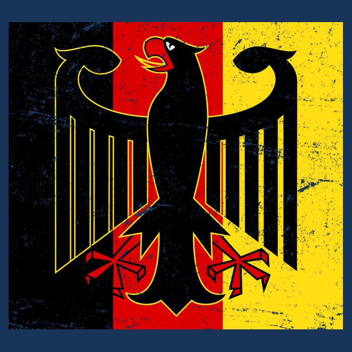 Vintage German Eagle Emblem Flag Toddler Hoodie