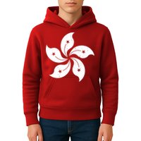 Vintage Hong Kong Flag Kids Hoodie
