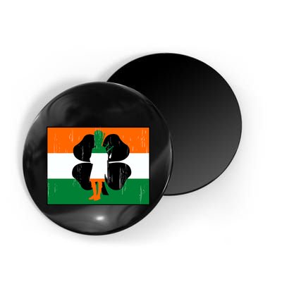 Vintage Irish Flag Of Ireland Magnet