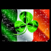 Vintage Irish Flag of Ireland Clover St. Patrick's Day Kids T-Shirt