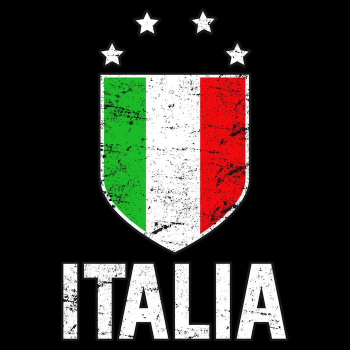 Vintage Italia Shield Crest Womens T-Shirt