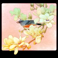 Vintage Japanese Bird Flowers  Polo
