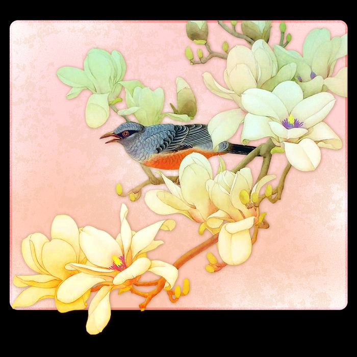 Vintage Japanese Bird Flowers  Polo