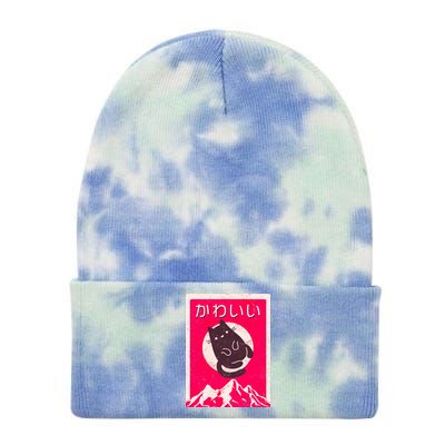 Vintage Japanese Kawaii Cute Cat Tie Dye 12in Knit Beanie