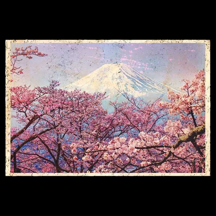 Vintage Japanese Mt. Fuji & Cherry Blossoms Womens Tank Top