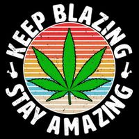 Vintage Keep Blazing Stay Amazing Women's V-Neck T-Shirt