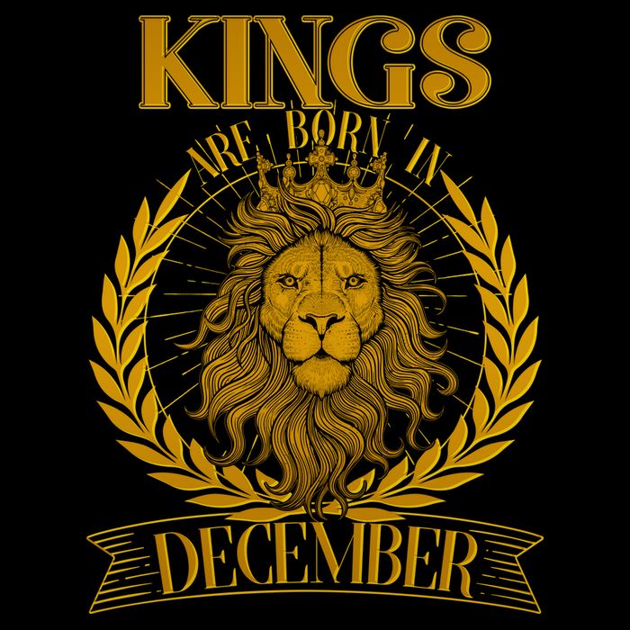 Vintage Lion Kings Are Born In December Hoodie