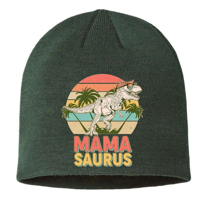 Vintage Mama Saurus T-Rex Mom Mother Sustainable Beanie