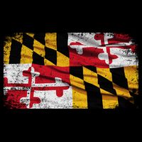Vintage Maryland Flag Mug