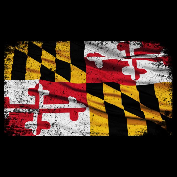 Vintage Maryland Flag Mug