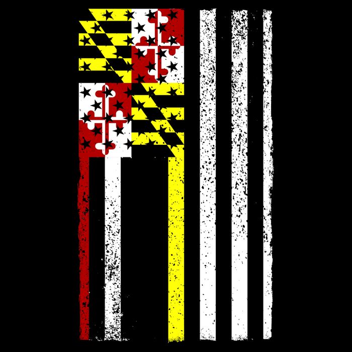 Vintage Maryland State American Flag Visor
