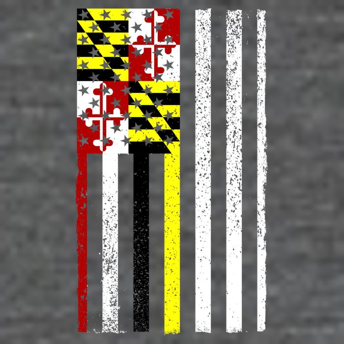 Vintage Maryland State American Flag Hoodie