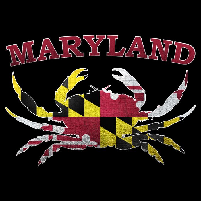 Vintage Maryland State Blue Crab Pride Flag  Long Sleeve Shirt