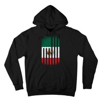 Vintage Mexican Flag Hoodie