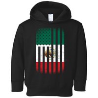 Vintage Mexican Flag Toddler Hoodie