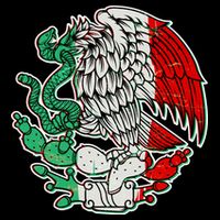 Vintage Mexico Eagle Symbol Toddler T-Shirt
