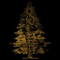 Vintage Nature Lover Pine Tree Forest Wool Snapback Cap