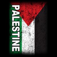 Vintage Palestine Flag Support Distressed Button