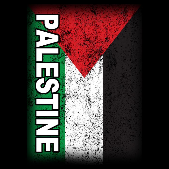 Vintage Palestine Flag Support Distressed Button