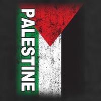 Vintage Palestine Flag Support Distressed Hat