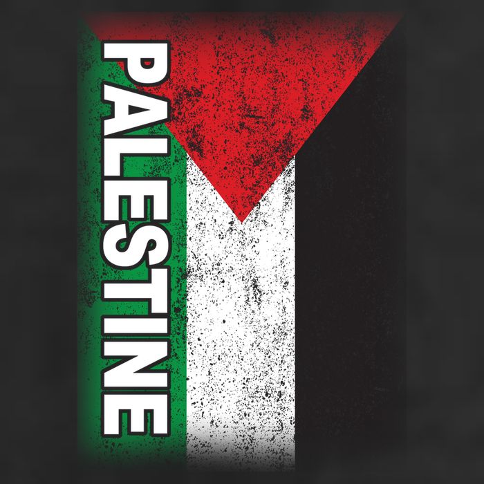Vintage Palestine Flag Support Distressed Hat
