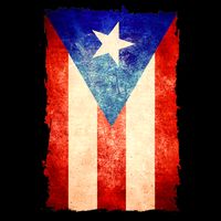 Vintage Puerto Rico Flag Bucket Hat