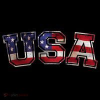 Vintage Red White And Blue USA Logo Womens T-Shirt