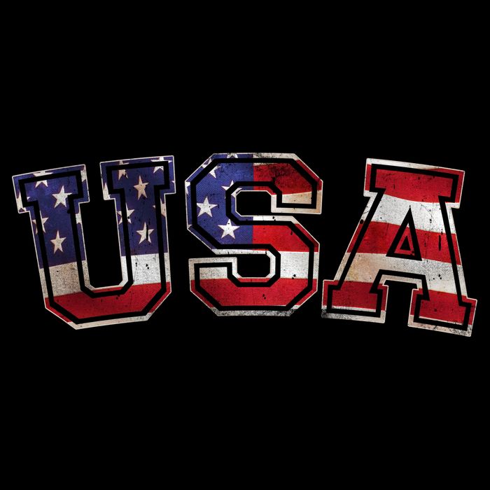 Vintage Red White And Blue USA Logo Womens T-Shirt