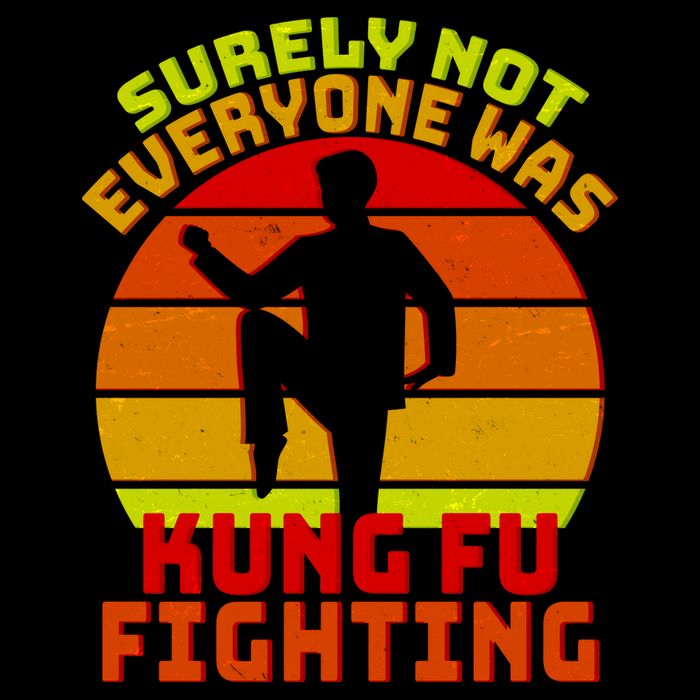 Vintage Retro Surely Not Everyone Was Kung Fu Fighting Womens T-Shirt